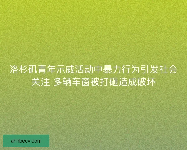 洛杉矶青年示威活动中暴力行为引发社会关注 多辆车窗被打砸造成破坏