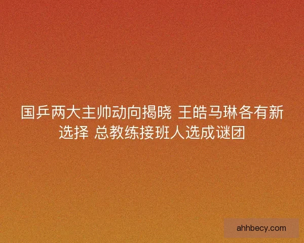 国乒两大主帅动向揭晓 王皓马琳各有新选择 总教练接班人选成谜团