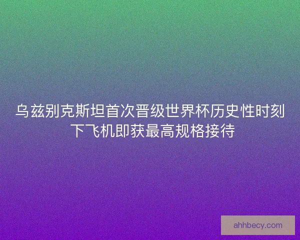 乌兹别克斯坦首次晋级世界杯历史性时刻 下飞机即获最高规格接待 乌兹别克斯坦首次晋级世界杯历史性时刻 下飞机即获最高规格接待