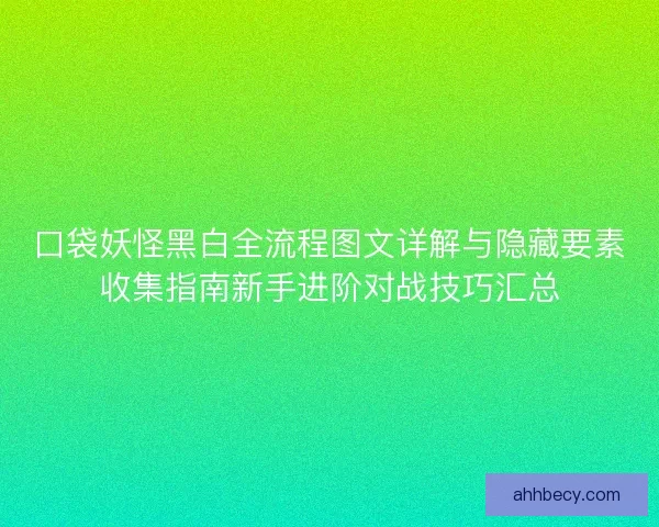 口袋妖怪黑白全流程图文详解与隐藏要素收集指南新手进阶对战技巧汇总