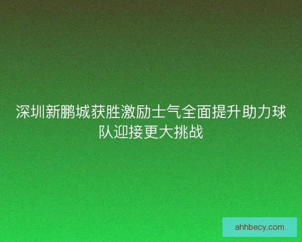 深圳新鹏城获胜激励士气全面提升助力球队迎接更大挑战 深圳新鹏城获胜激励士气全面提升助力球队迎接更大挑战
