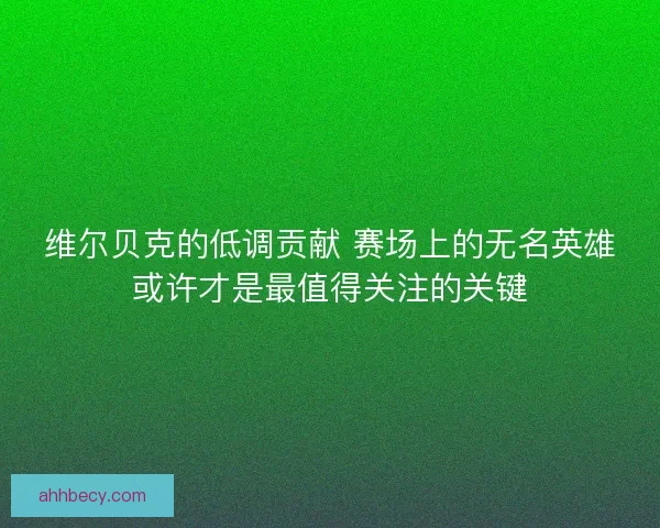 维尔贝克的低调贡献 赛场上的无名英雄或许才是最值得关注的关键 维尔贝克的低调贡献 赛场上的无名英雄或许才是最值得关注的关键