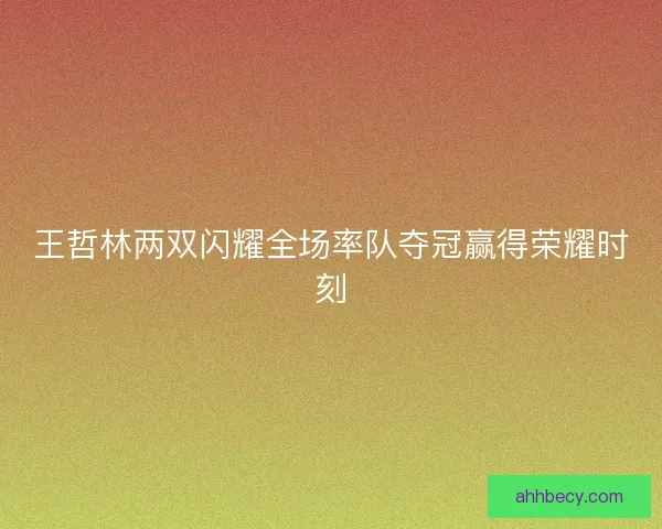 王哲林两双闪耀全场率队夺冠赢得荣耀时刻